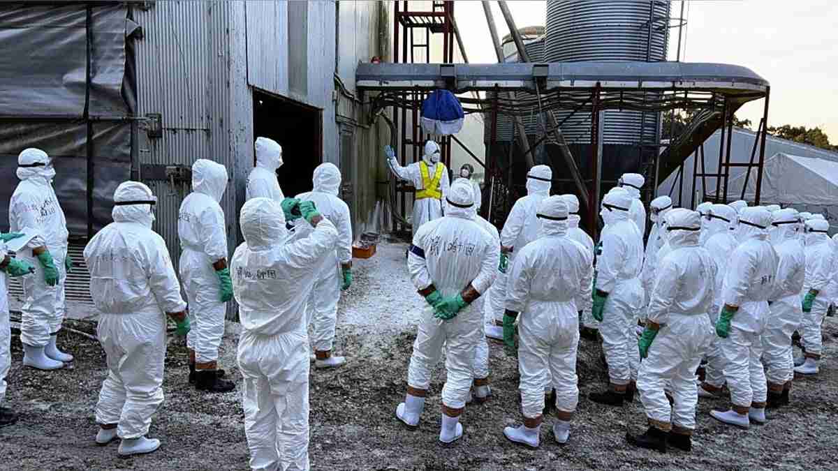 鶏卵高騰「エッグショック」懸念、鳥インフル急拡大で殺処分が最悪ペース…業者「防ぎきれない」 : 読売新聞