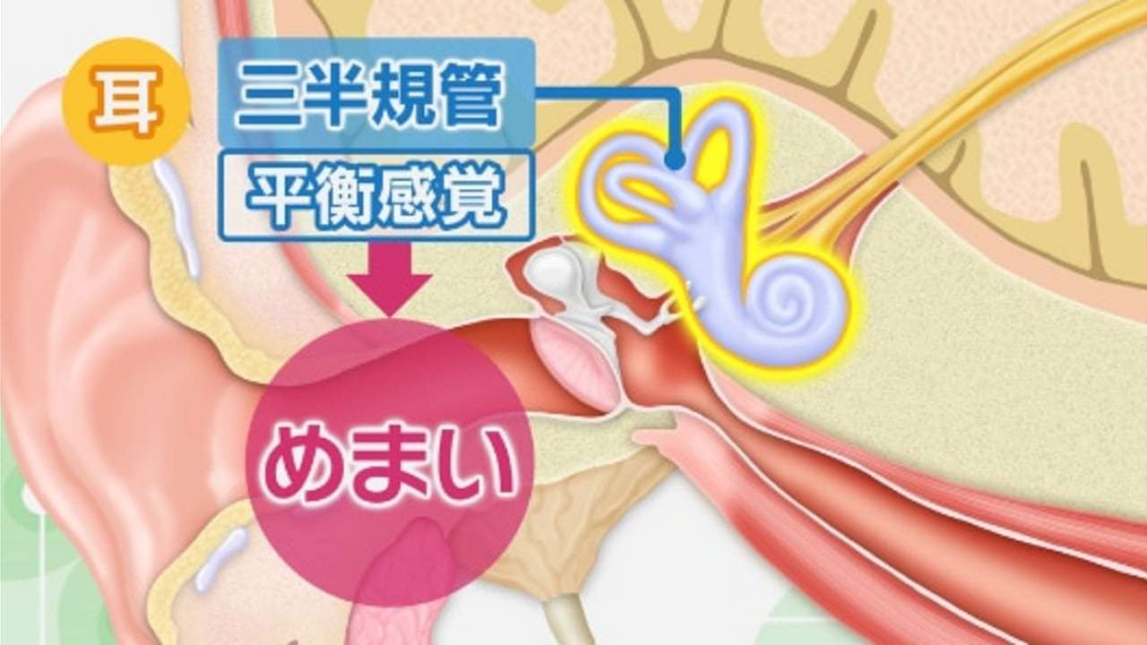 総力特集!耳の健康「そのめまい耳が原因!?」 - きょうの健康 - NHK