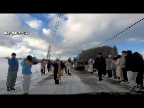 北海道・美瑛町の絶景「人気シラカバ並木」約40本伐採　“オーバーツーリズム”？…「人多く通行にも支障」と町に伐採の要望　農作物への影響も理由