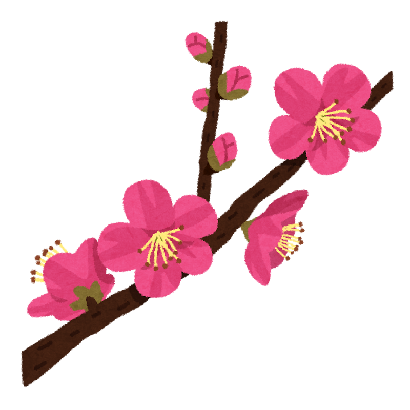 植物の名前でしりとり🍀ついでに名前を覚えよう Part10
