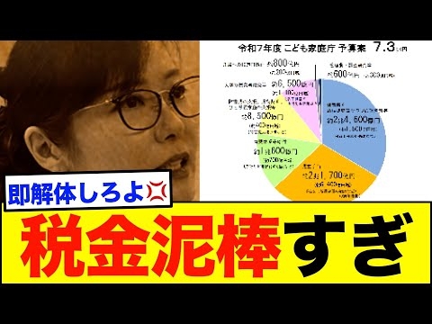 こども家庭庁廃止で、労働者一人当たり11万弱の減税になることが判明！！！なお、予算は約1兆円増やす模様...。