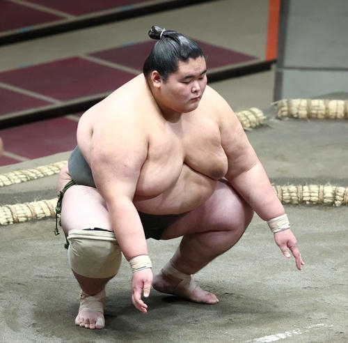 健康診断で血管見つからず採血に45分要した220キロ力士が入院　師匠は「太りすぎ」と減量を計画 - 大相撲 : 日刊スポーツ
