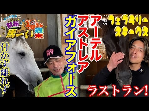 【2025フェブラリーS】ガイアフォース/アーテルアストレア陣営を直撃・視聴者プレゼントもあるよ！【東スポ競馬で財布が福らむ馬〜い週末】