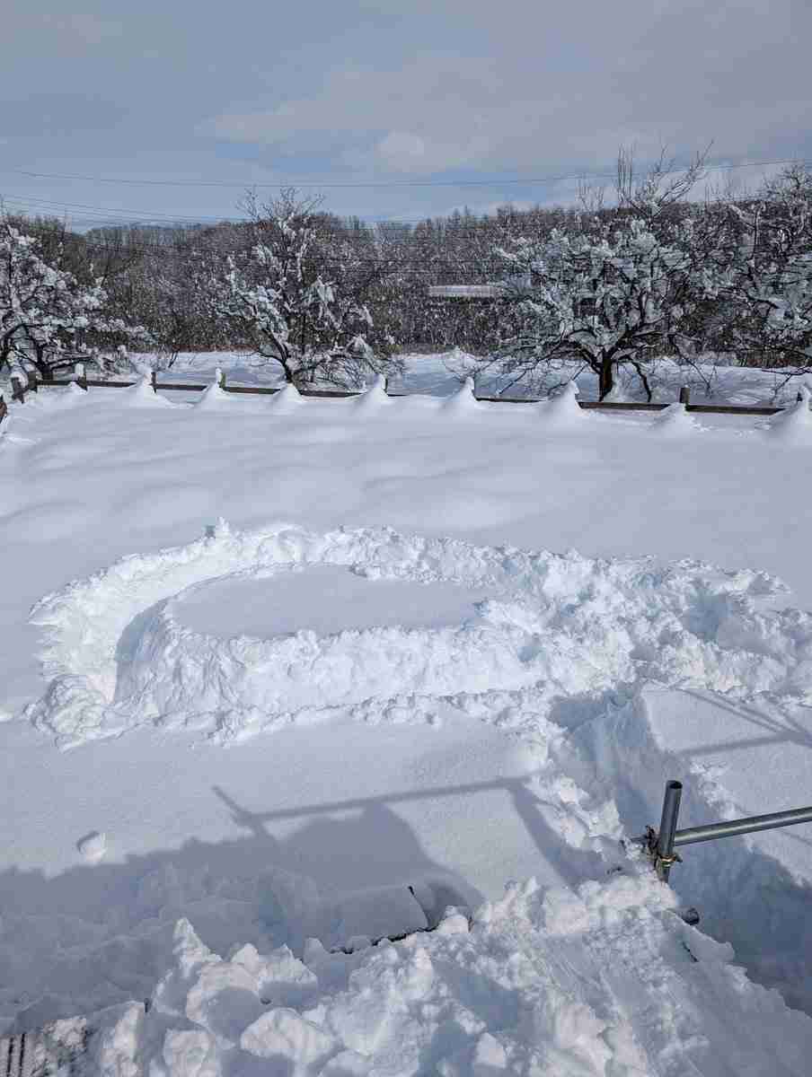 今までの人生で経験した一番の積雪