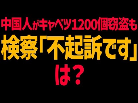 中国人がキャベツ1200個以上盗むも不起訴に！検察仕事しろ！