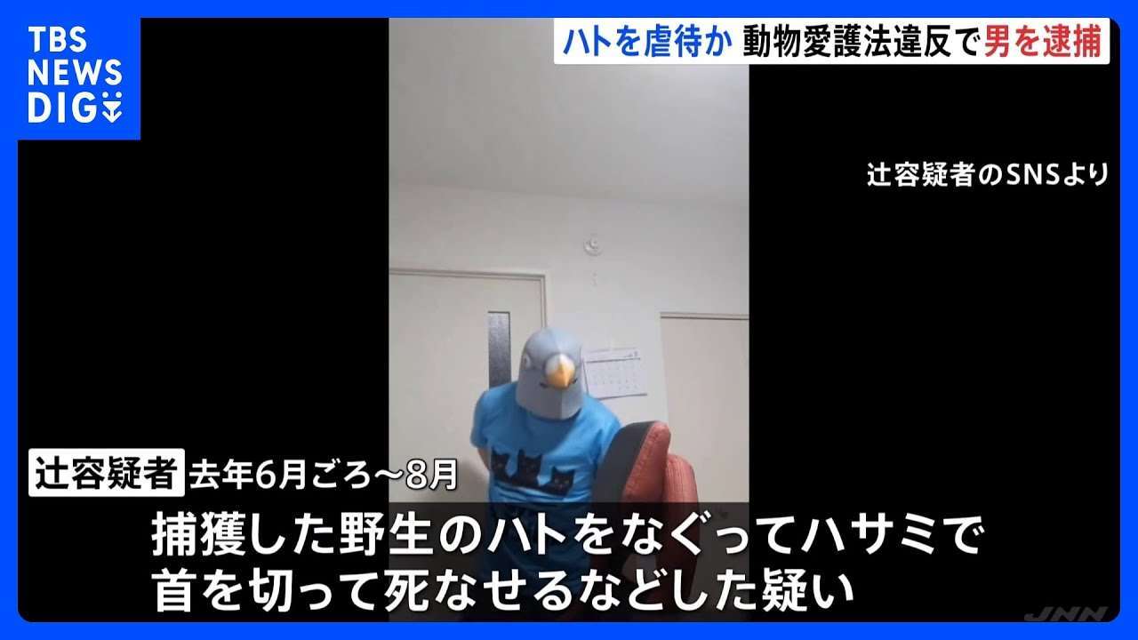 SNSに動画投稿“鳥マスク”かぶりハト虐待か　「なんで俺に懐かないんだ」