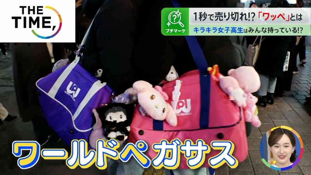 1000回以上電話する人も続出？！女子高生の間で争奪戦のバッグ「ワッペ」とは？【THE TIME,】 | TBS NEWS DIG