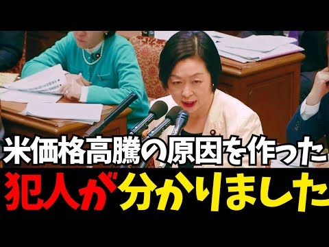 【山本太郎】結局こいつらがいつも国民を苦しめる原因です【れいわ新選組】#山本太郎 #れいわ新選組 #れいわを与党に #れいわ #消費税 #消費税廃止