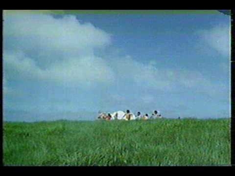 1979/82/83/84 丸大 ウインナー