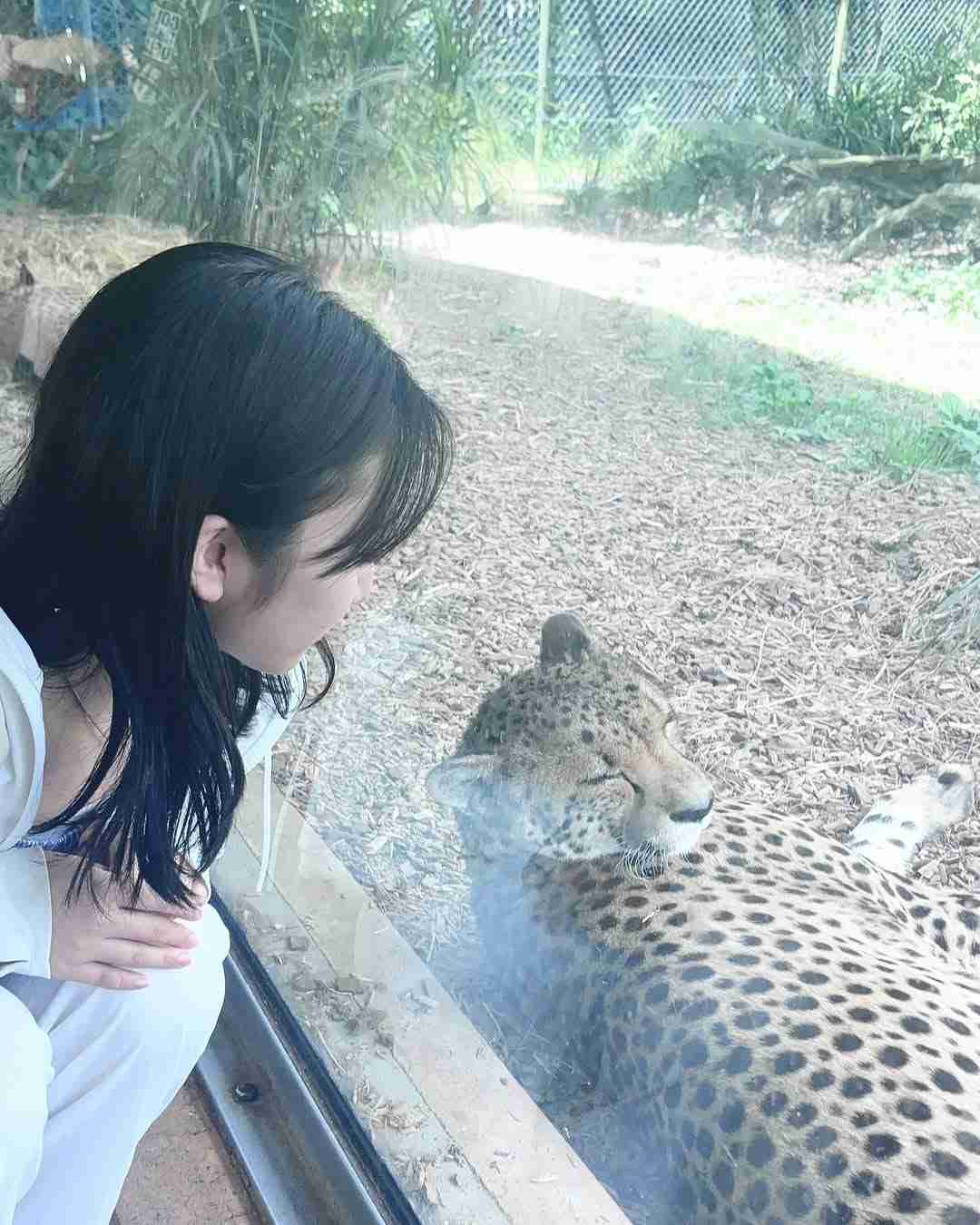 「ぎぼむす」綾瀬はるか娘役から7年…16歳となった女優の留学生活満喫ショットに「素敵な海外ガールに」「可愛いさそのまま」の声