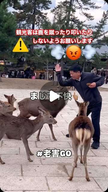 ??老害GO?? | お前の家族がされたらどう思うんだろな??‍♀️⁡⁡#老害 #パワハラ #サラリーマン #老害ライダー #セクハラ #ハラスメント #飲み会 #上司が嫌い #酒ヤクザ #アルハラ #うつ #adhd #会社辞めたい #クソジジイ #昭和　#昭和バカ　⁡... | Instagram