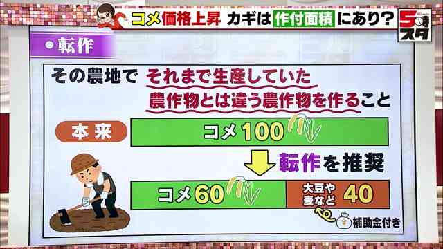 コメ買い付け“投機の対象”　異業種＆外国人参入で高騰か　備蓄米21万トン放出へ