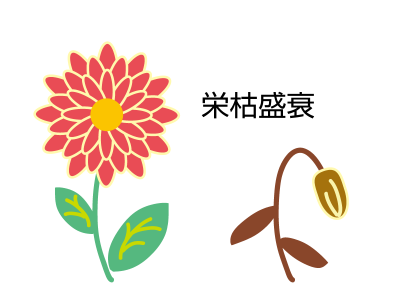 過去の栄光を自慢するトピ！！