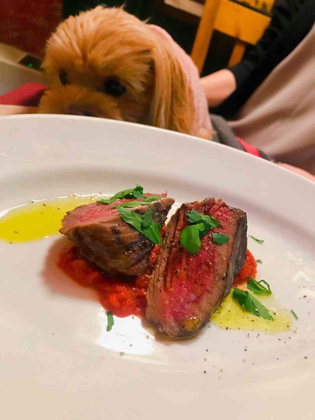 なぜ、日本に犬肉料理店が50軒もあるのか？ | マルプー ミルキー先生のわん’sレッスン