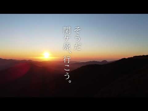 「そうだ 関ケ原、行こう。」関ケ原の合戦に参加したい人向けのCM