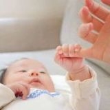 >>2政府が憲法から基本的人権を消そうとしてる国で子供なんか産めないわ緊急政令が... | ガールズちゃんねる - Girls Channel -