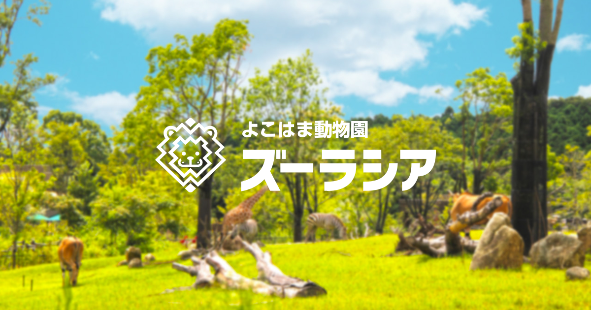 よこはま動物園ズーラシア公式サイト｜公益財団法人 横浜市緑の協会
