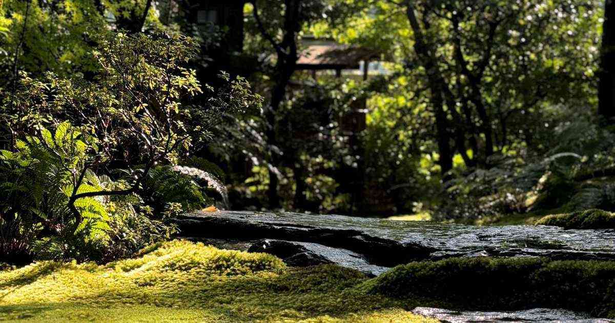 「中国の一部になるのに消されるよ」　観光マナー違反を注意した京都・高台寺が脅される - 産経ニュース