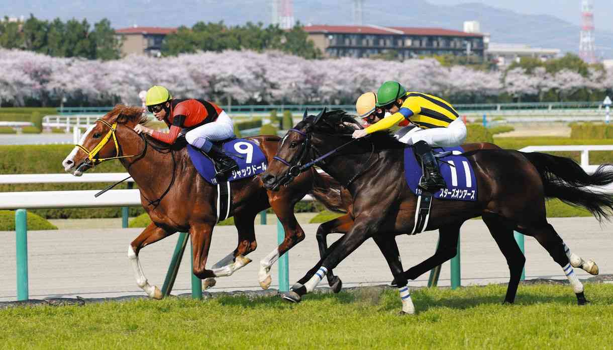 23年大阪杯の覇者ジャックドール引退　右前脚の腫れが再発（中日スポーツ） - Yahoo!ニュース