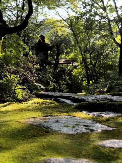 「中国の一部になるのに消されるよ」　マナー違反を注意した京都・高台寺岡林院が脅される(産経新聞) - goo ニュース