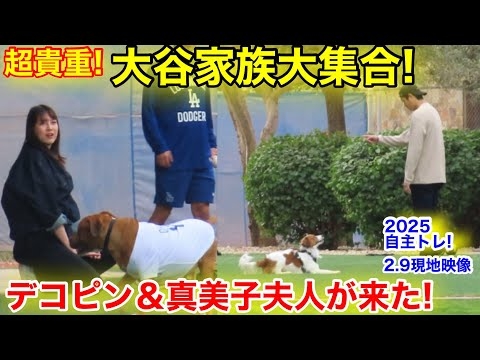 速報！デコピン&真美子夫人も登場！キャンプに来た大谷家族勢揃い！2.9自主トレ現地映像