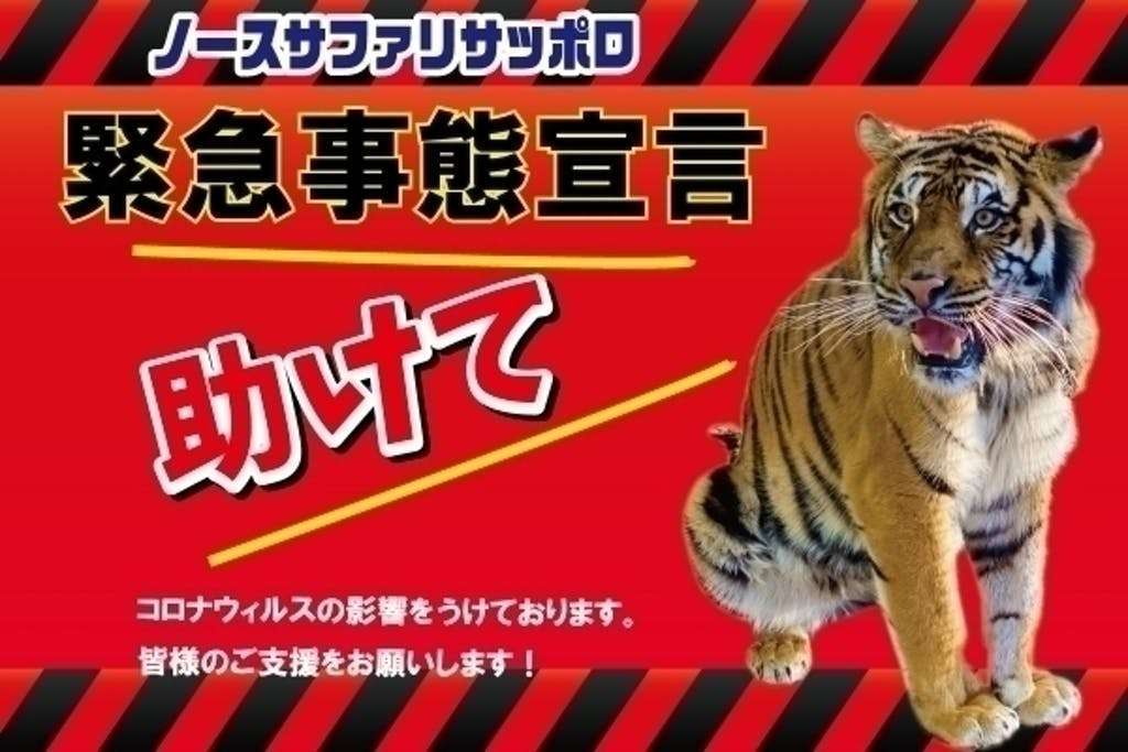 【注目】北海道の動物園「ノースサファリサッポロ」がクラウドファンディングで「ライオンのダメージジーンズ」などを提供