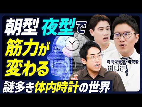【痩せる生活リズムと食事】食事で痩せぬなら体内時計を整えよ／炭水化物×タンパク質×カフェイン×短鎖脂肪酸／朝型・夜型を診断する方法／眠気・作業記憶・筋力に差がある【BODY SKILL SET】