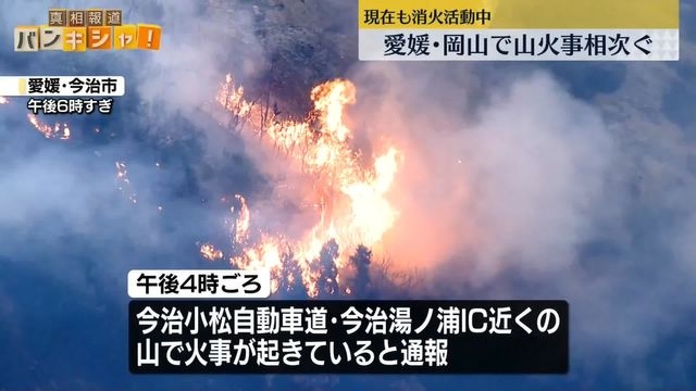 愛媛・岡山で山火事相次ぐ 消火活動中