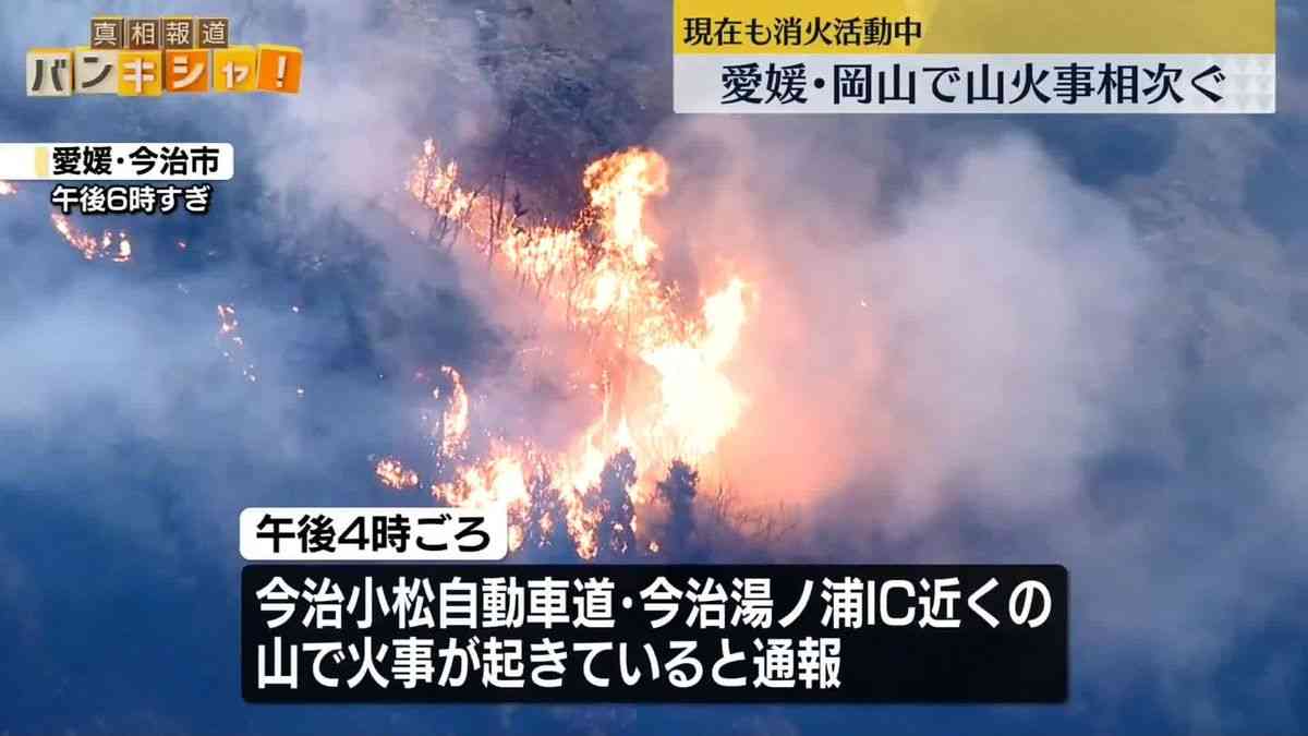 愛媛・岡山で山火事相次ぐ　消火活動中（2025年3月23日掲載）｜日テレNEWS NNN
