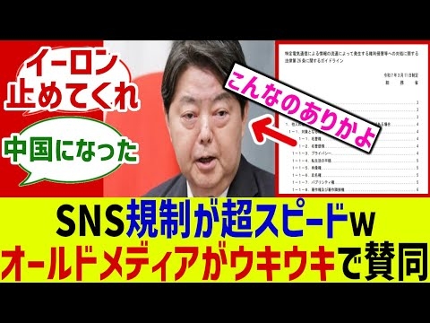 SNS規制が爆速すぎるｗ意見書見てないだろ！に対するみんなの反応集