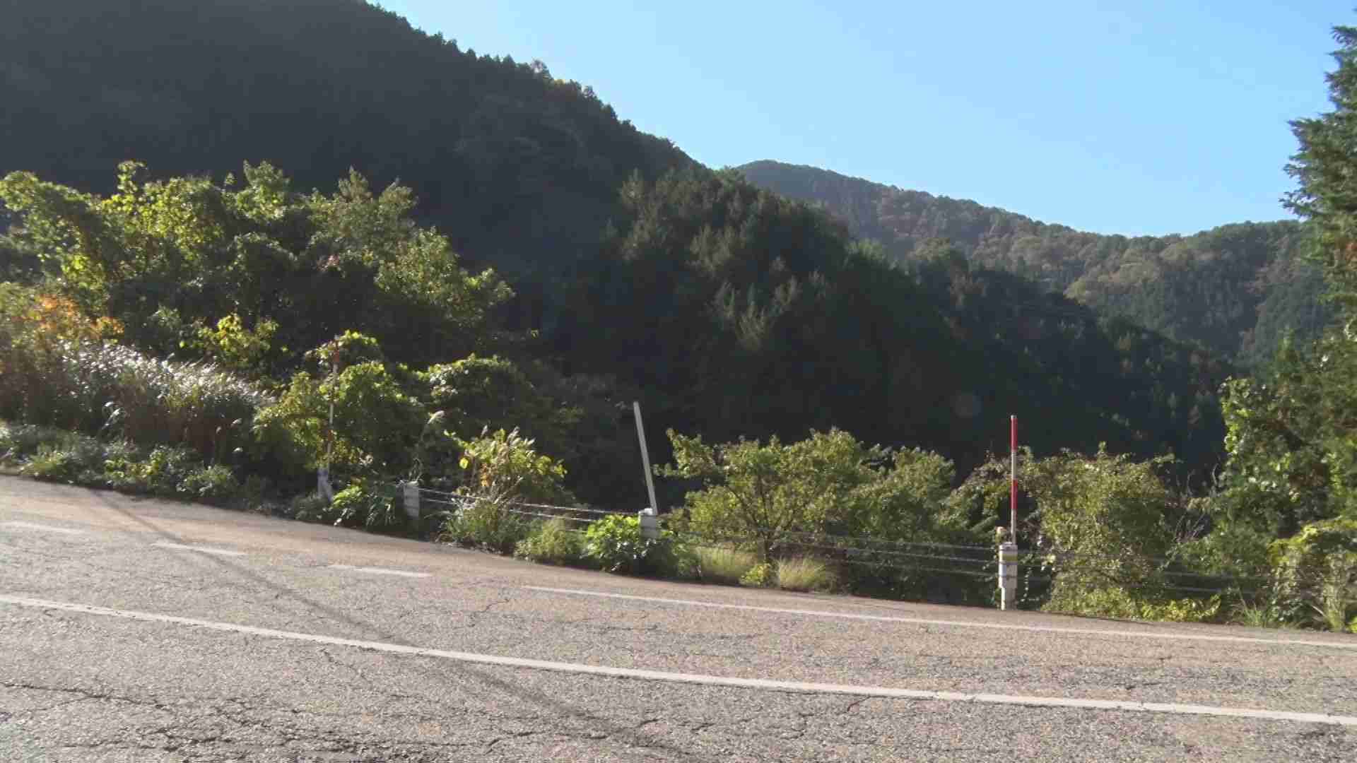 山奥の国道脇に「人が仰向けに倒れていてカラスがたかっている」　死体遺棄事件発生から約11か月…被害者は「52歳男性」と判明　被疑者は“母”と“双子の弟”で今年1月に死亡→被疑者死亡のまま書類送検（BSS山陰放送） - Yahoo!ニュース