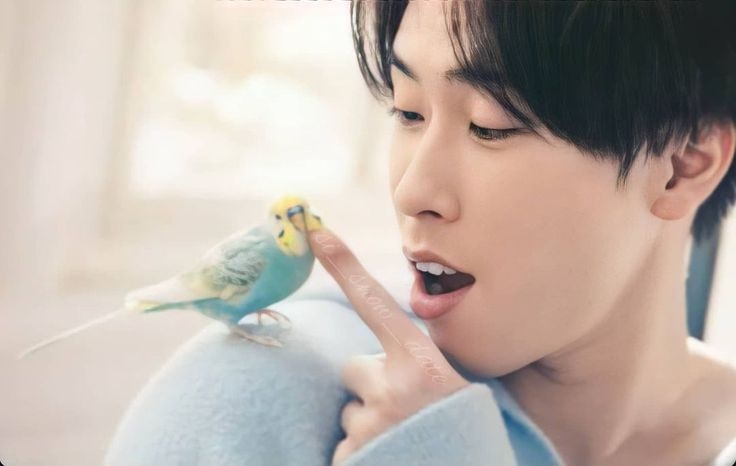 有名人と動物が一緒に写ってる画像を貼るトピPart3