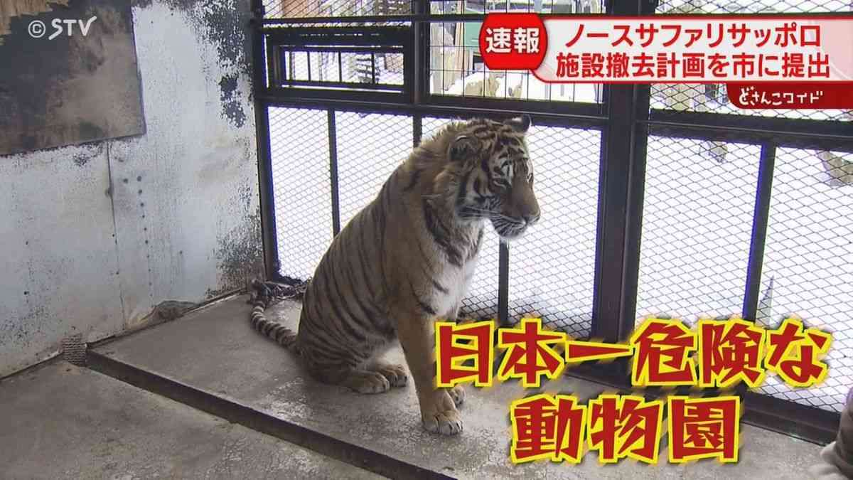 日本一危険な動物園「ノースサファリサッポロ」撤去計画提出　違法建築・動物大量死発覚…膠着20年の末