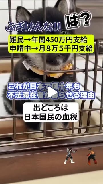 Instagram video by GB74 • Feb 22, 2025 at 8:50 PM