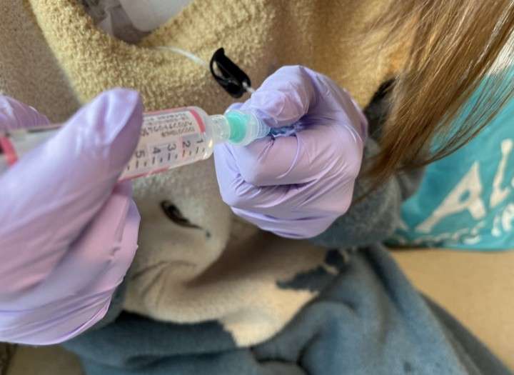 おすすめのゲーミングチェア