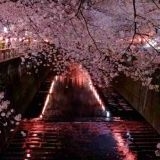 自民党に憲法から基本的人権を消されるのが怖過ぎる??冗談抜きで、◯言論の自由の剥... | ガールズちゃんねる - Girls Channel -