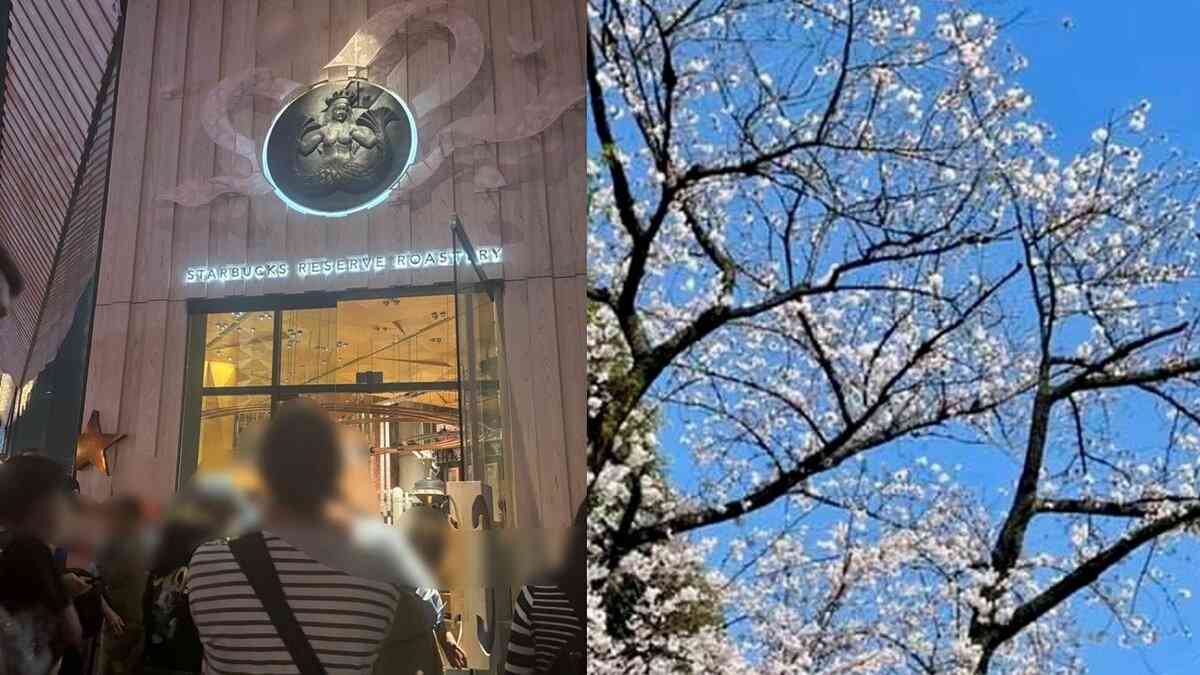 〈中目黒桜まつり〉「クレイジーだよ！」５時間待ちはザラの“高級スタバ”は映え狙いの外国人客が殺到…ＱＲチケット導入も「入れないから寿司にいくよ」…限定カクテル2200円で学生はビックリ | 集英社オンライン | ニュースを本気で噛み砕け