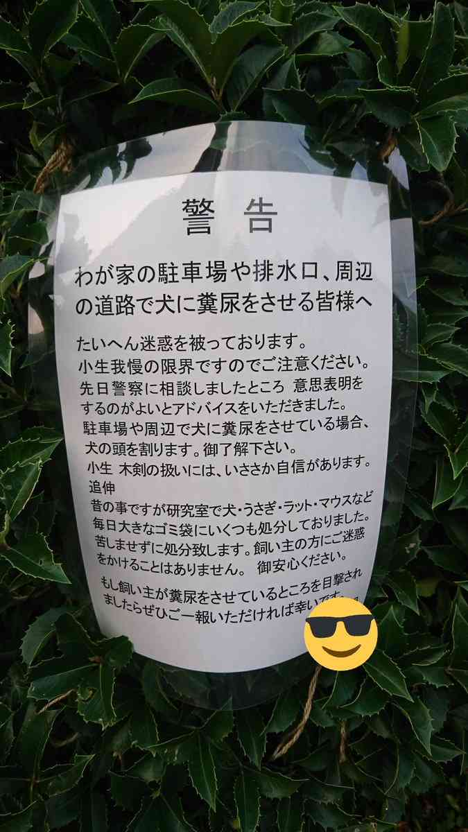 8時間「絶叫」が止まらない　機内で騒ぎ続けた犬に避難殺到　飼い主の無責任ぶりに怒りの声