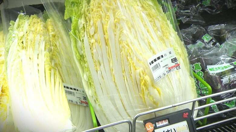 白菜が1080円!?値段上がり続ける野菜「我慢しようかな…」 店側も工夫凝らす中“3月も平年より高い状態続く”見通し 新潟