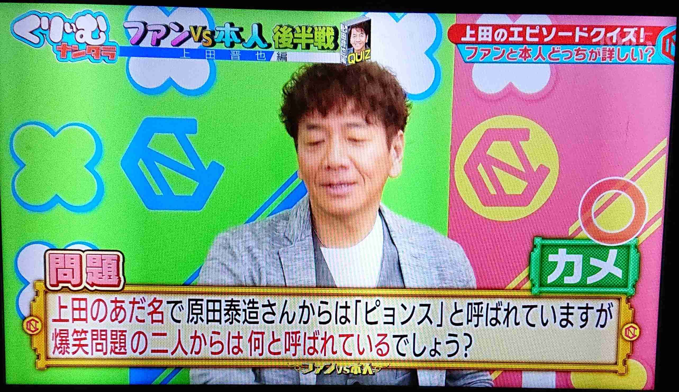 猫派が増えてませんか?