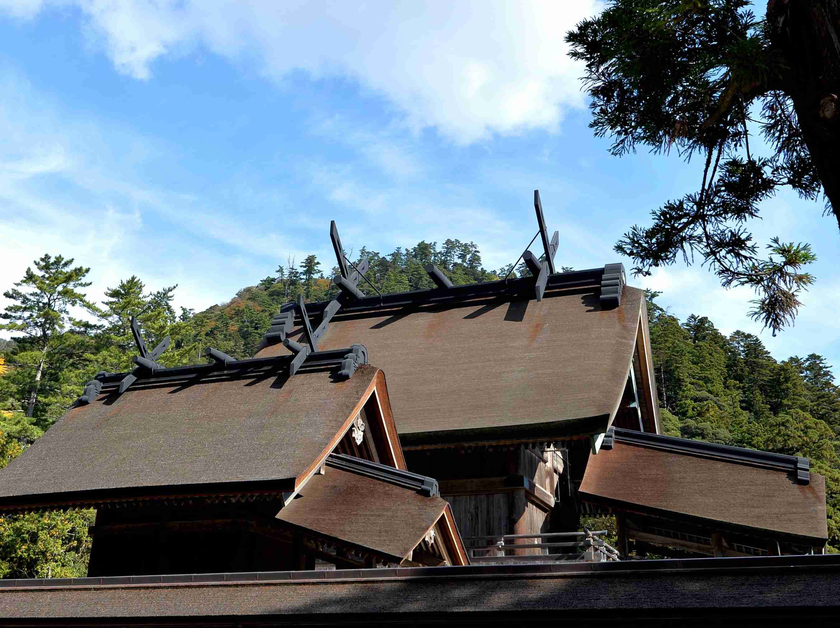 出雲大社の謎 古代に存在した巨大神殿のルーツに迫る  –  國學院大學