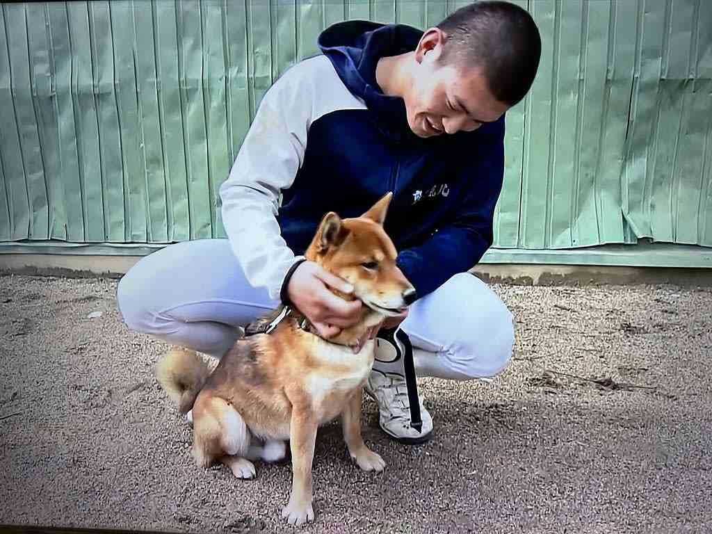 敦賀気比柴犬小哲がテレビに・・・ - 福井県の高校野球を応援する爺様の言いたい放題！