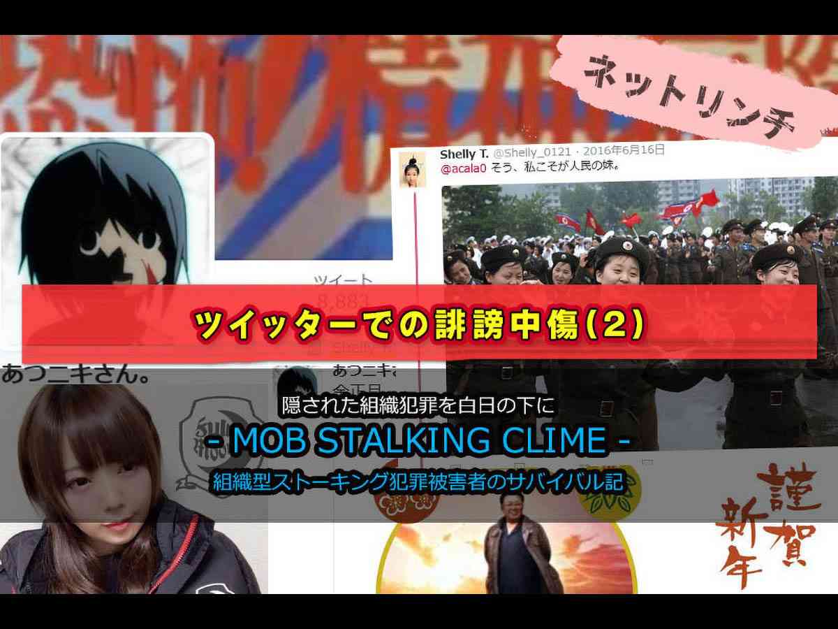 高見ちさき氏を含むグループによるツイッターでの誹謗中傷（２） ― 並々ならぬ北朝鮮への思いを共有する謎のグループによる集団リンチ  |  MOB STALKING CRIME