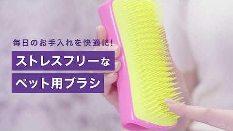 ペット用ブラシ「ペットティーザー」