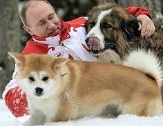 猫派が増えてませんか?