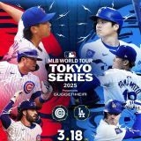 >>1170＝>>1238＝>>1162＝>>1079など（ブロック使えば分かる）この人、最近いろん... | ガールズちゃんねる - Girls Channel -