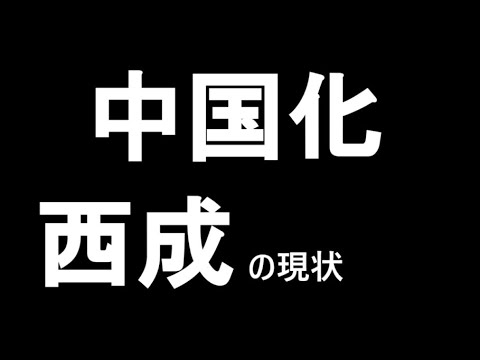西成　住宅地も中国化　商店街だけではなかった（大阪市西成区）