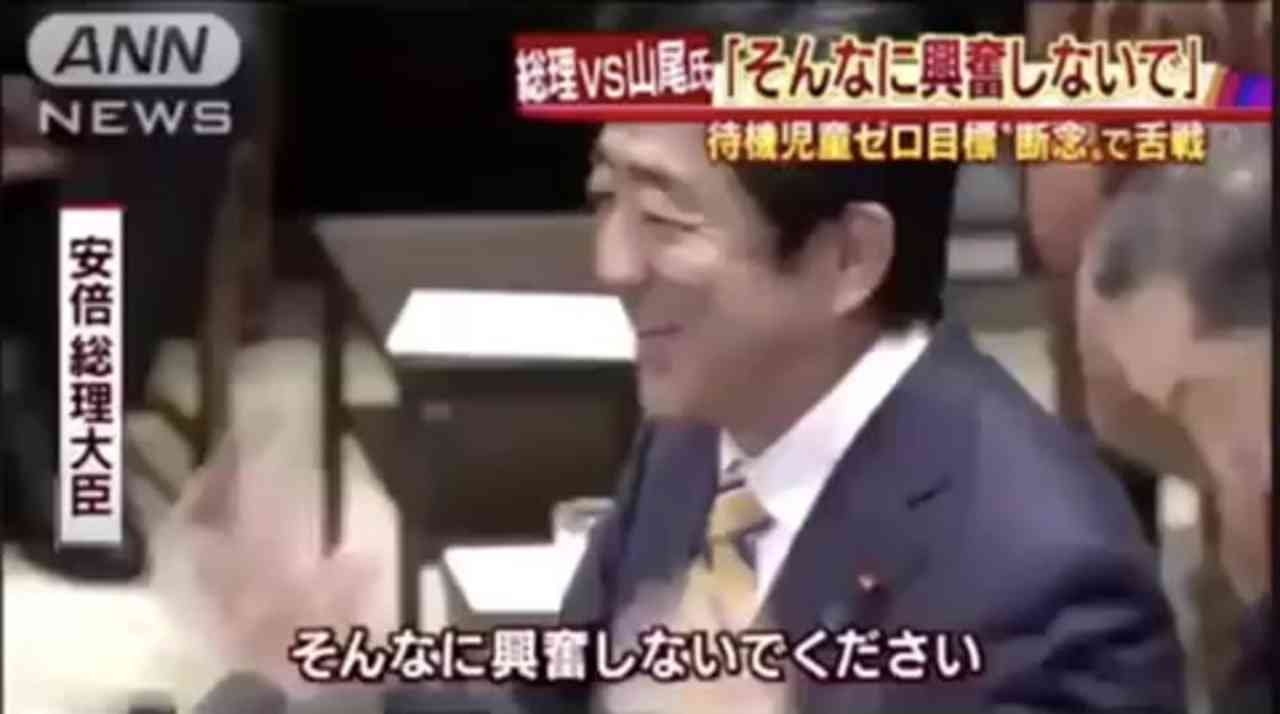 そんなに興奮しないでください【安倍首相】 - ニコニコ動画