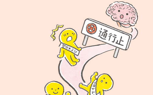 幸せホルモンは脳と腸、どちらでつくられる？～脳腸相関について～｜腸活ナビ｜大正製薬