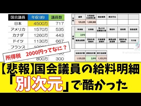 【悲報】国会議員の給料明細が別次元で酷かった